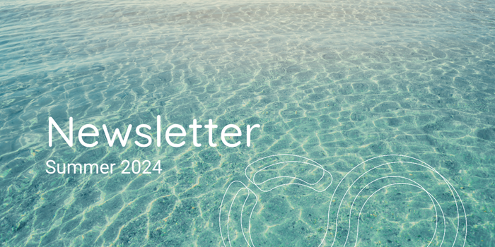 Newsletter 8/2024